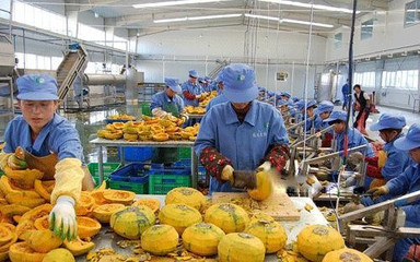 家庭小型有機(jī)肥料加工 環(huán)保創(chuàng)收新途徑