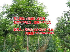 北欒基地 亞太園林 在線咨詢 池州北欒