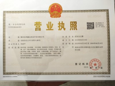 [湘玉竹批發] 湖南,尾叁,玉竹種莖,產量高,易管理,畝產10000斤以上價格3元/斤