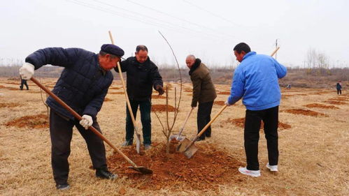 走,植樹去