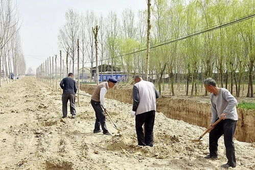 路長制 打造菏澤道路風景線