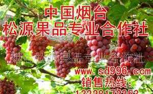 太原市陽光綠蔭種養(yǎng)殖_世界工廠網(wǎng)全球企業(yè)庫(kù)