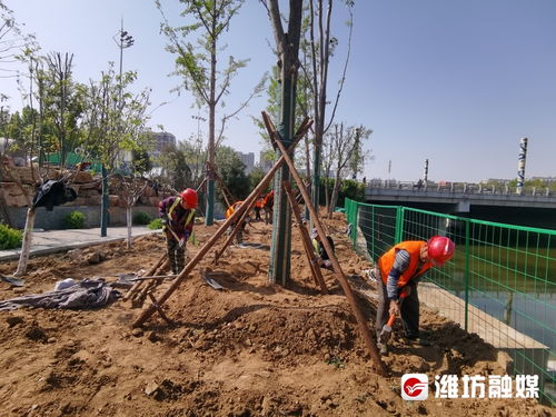 白浪河流域排水主通道改造,下月底完工