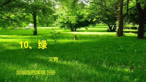 10.綠 共32張ppt
