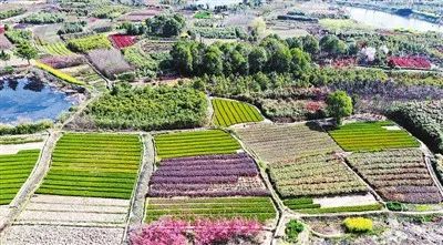 馬鞍山美景登上了 人民日報