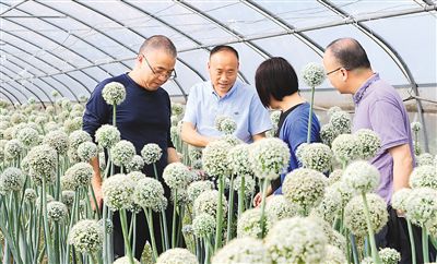 對口幫扶