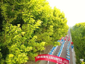 河南東部第一家全國(guó)森林康養(yǎng)基地落戶(hù)夏邑