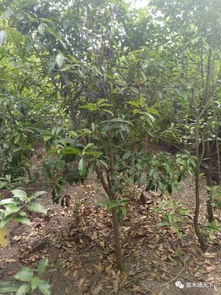 劉波 用心服務(wù),攜手共贏