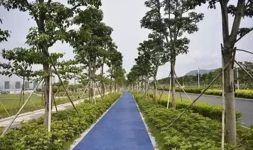 選苗注意這5點,成活率大大提高