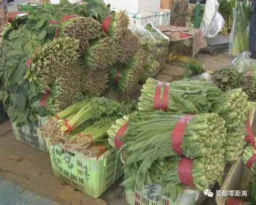 國慶期間每天1800噸蔬菜 滿足市民假日生活需求